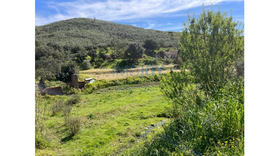 Terreno Agricola ou Rústico para Venda em Mexilhoeira Grande Foto 2