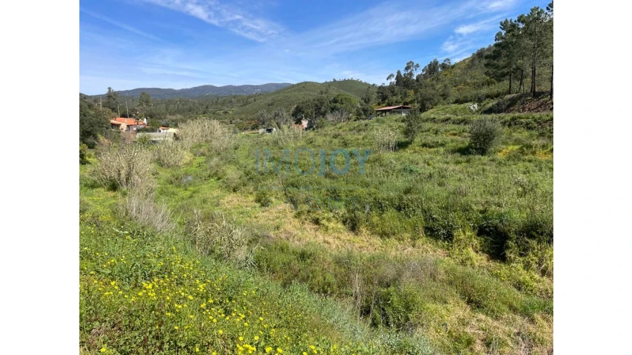Terreno Agricola ou Rústico para Venda em Mexilhoeira Grande Foto 3