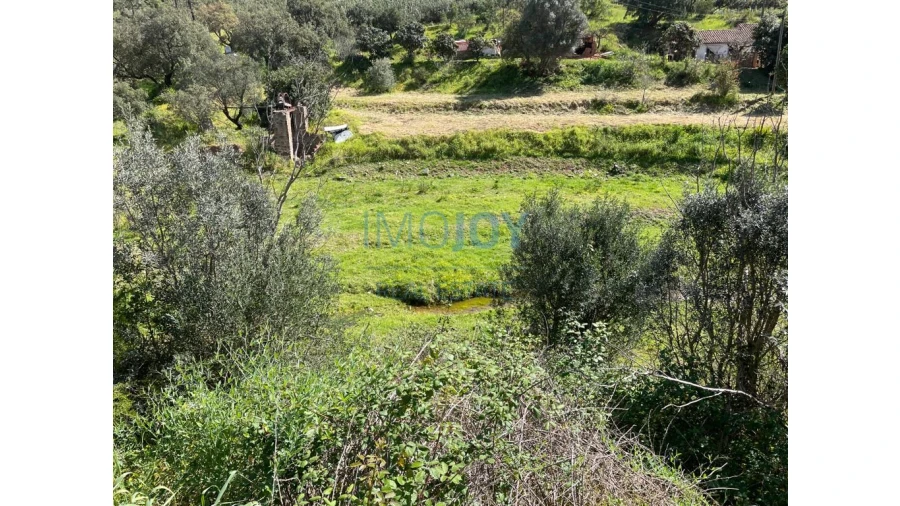Terreno Agricola ou Rústico para Venda em Mexilhoeira Grande Foto 6