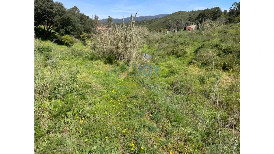 Terreno Agricola ou Rústico para Venda em Mexilhoeira Grande Foto 8