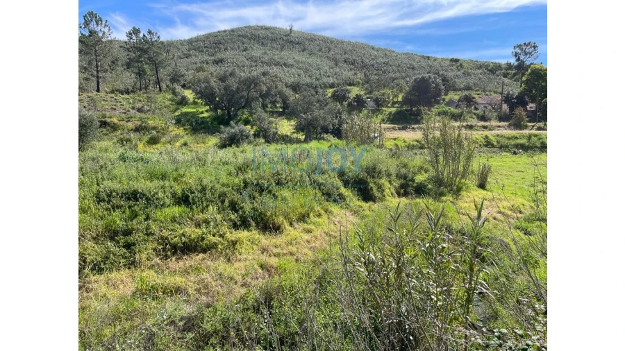 Terreno Agricola ou Rústico para Venda em Mexilhoeira Grande Foto 13