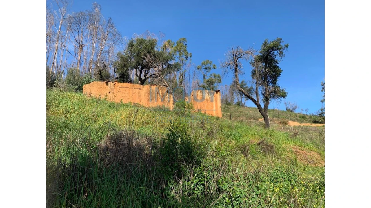 Terreno Misto para Venda em Alferce Foto 3