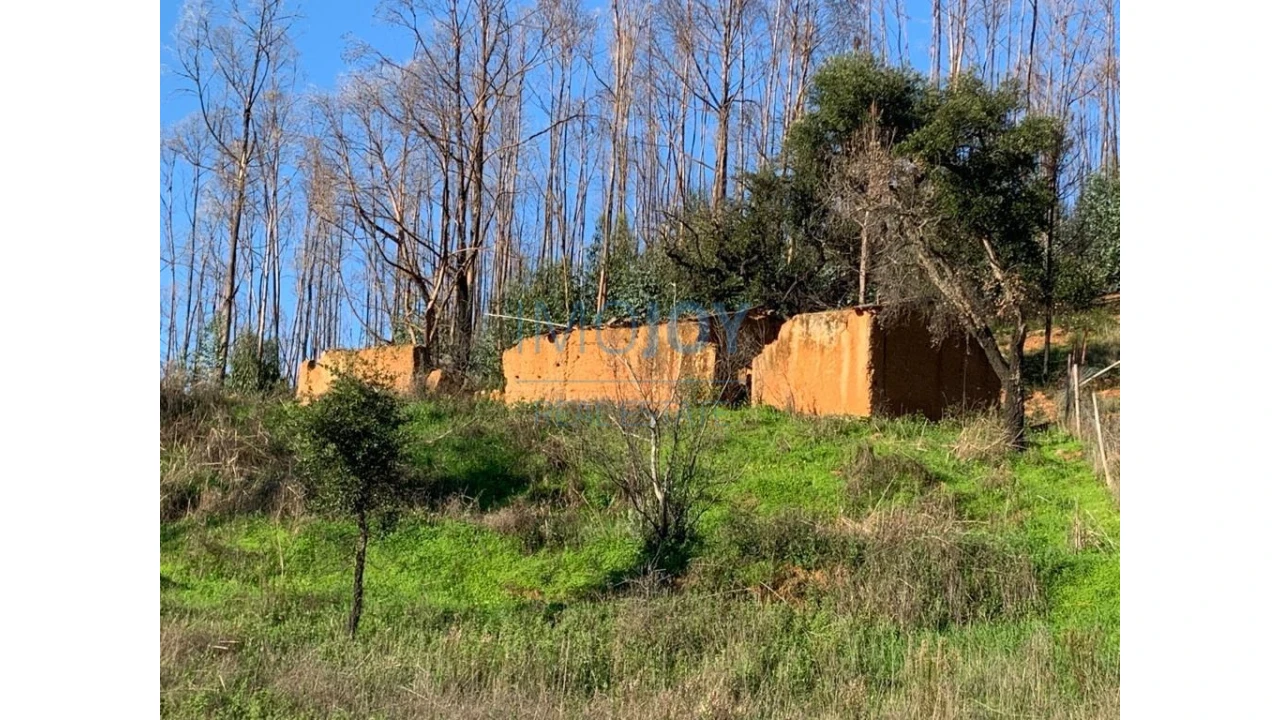 Terreno Misto para Venda em Alferce Foto 4