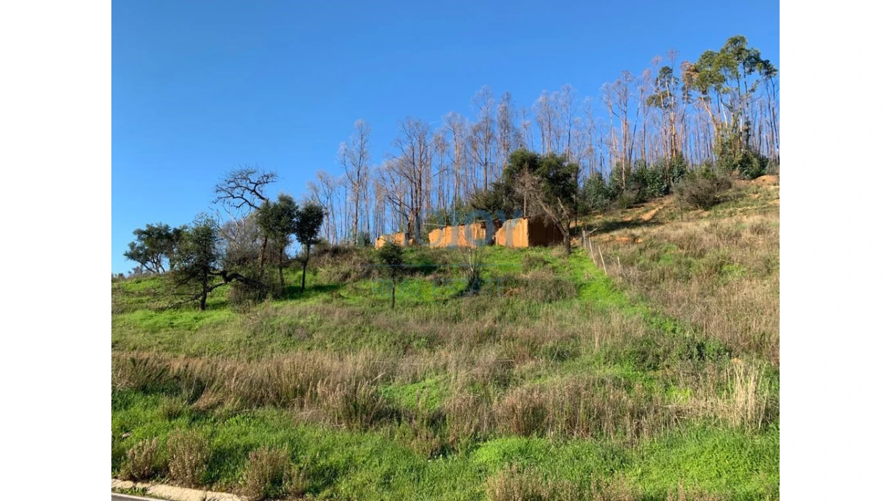 Terreno Misto para Venda em Alferce Foto 5