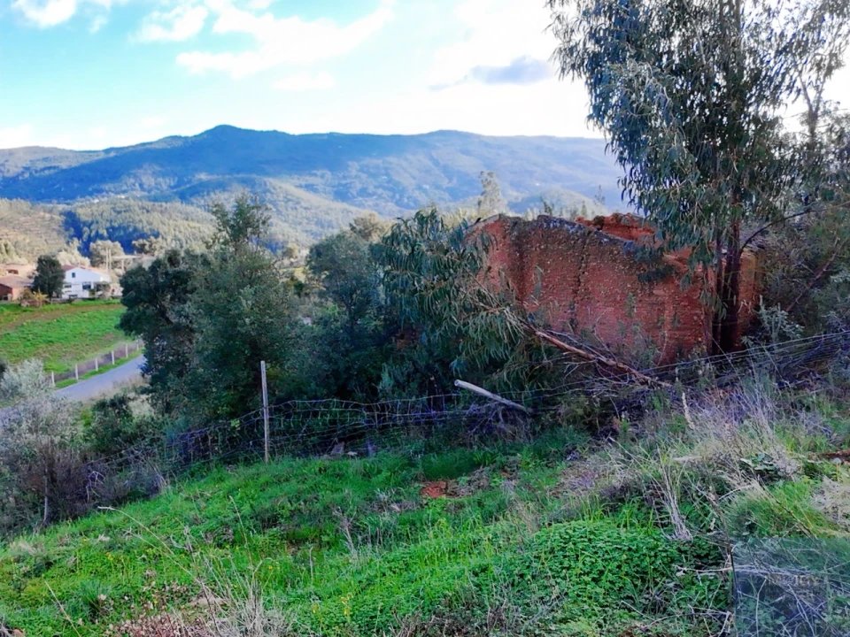 Terreno Misto para Venda em Alferce Foto 6