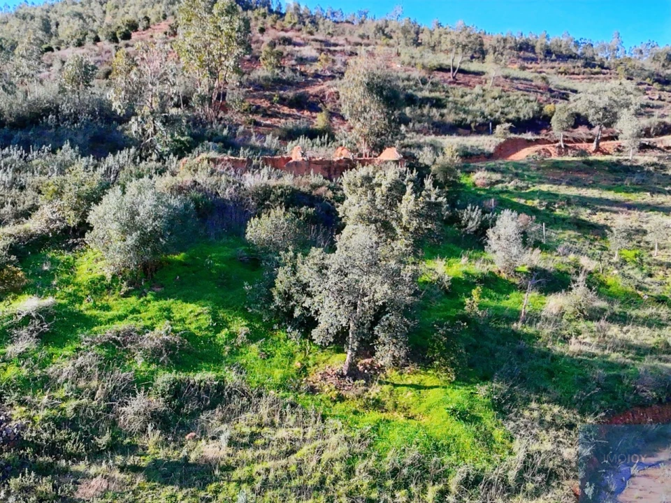 Terreno Misto para Venda em Alferce Foto 10