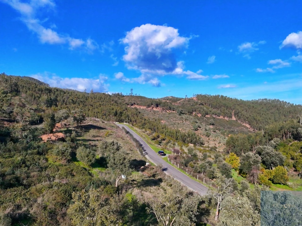 Terreno Misto para Venda em Alferce Foto 14
