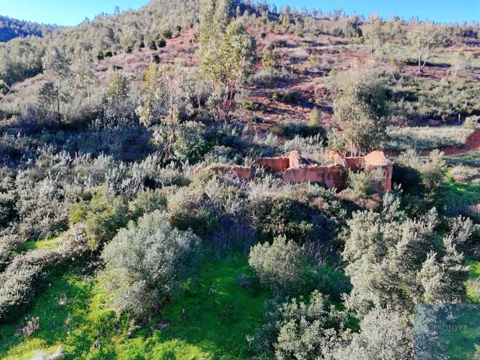 Terreno Misto para Venda em Alferce Foto 15