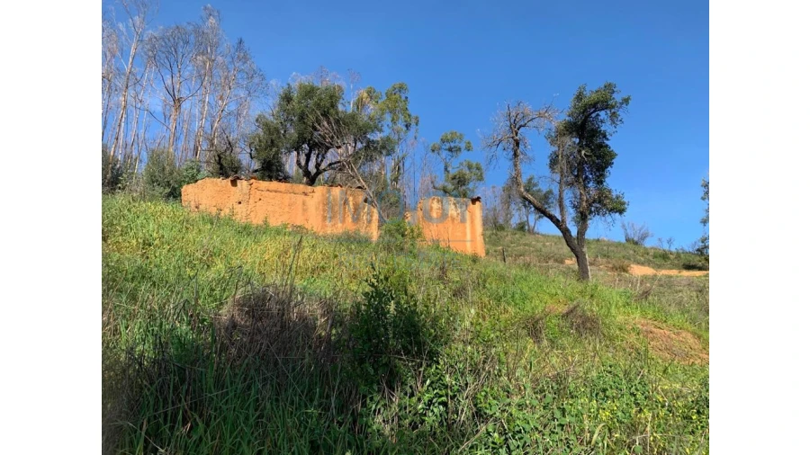 Terreno Misto para Venda em Alferce Foto 3