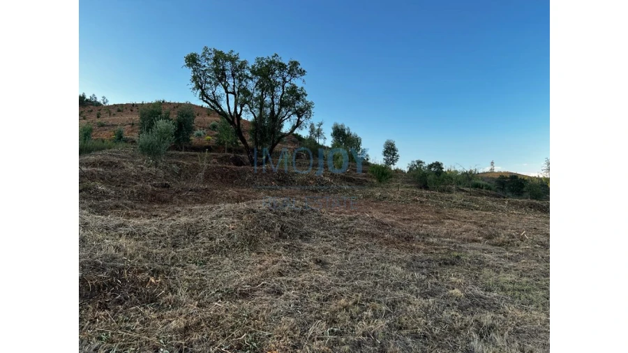 Terreno Misto para Venda em Alferce Foto 10