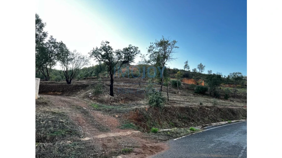 Terreno Misto para Venda em Alferce Foto 11