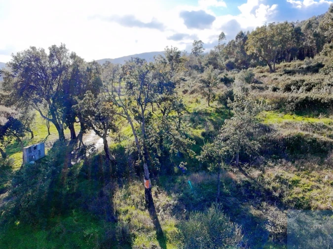 Terreno Misto para Venda em Alferce Foto 9
