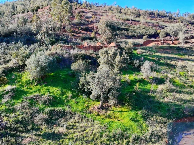 Terreno Misto para Venda em Alferce Foto 10