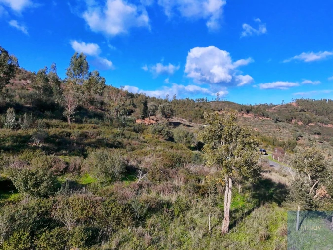 Terreno Misto para Venda em Alferce Foto 11