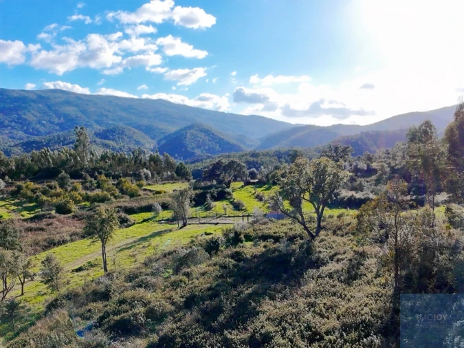 Terreno Misto para Venda em Alferce Foto 12