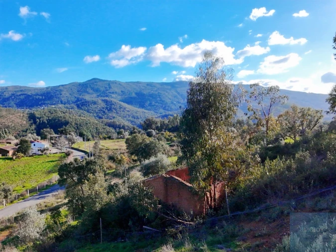Terreno Misto para Venda em Alferce Foto 16