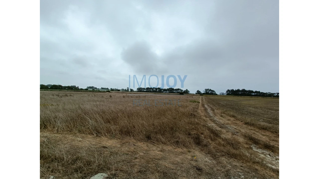 Terreno Agricola ou Rústico para Venda em São Teotónio Foto 1