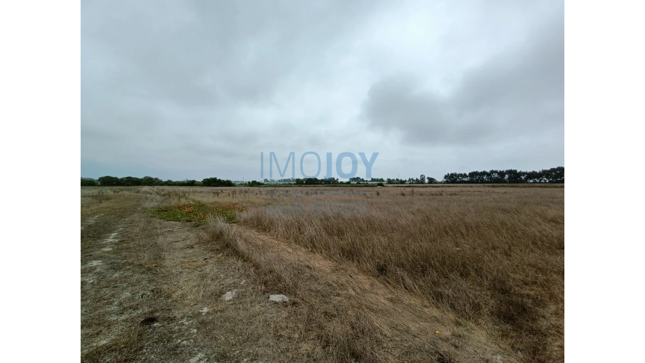 Terreno Agricola ou Rústico para Venda em São Teotónio Foto 2