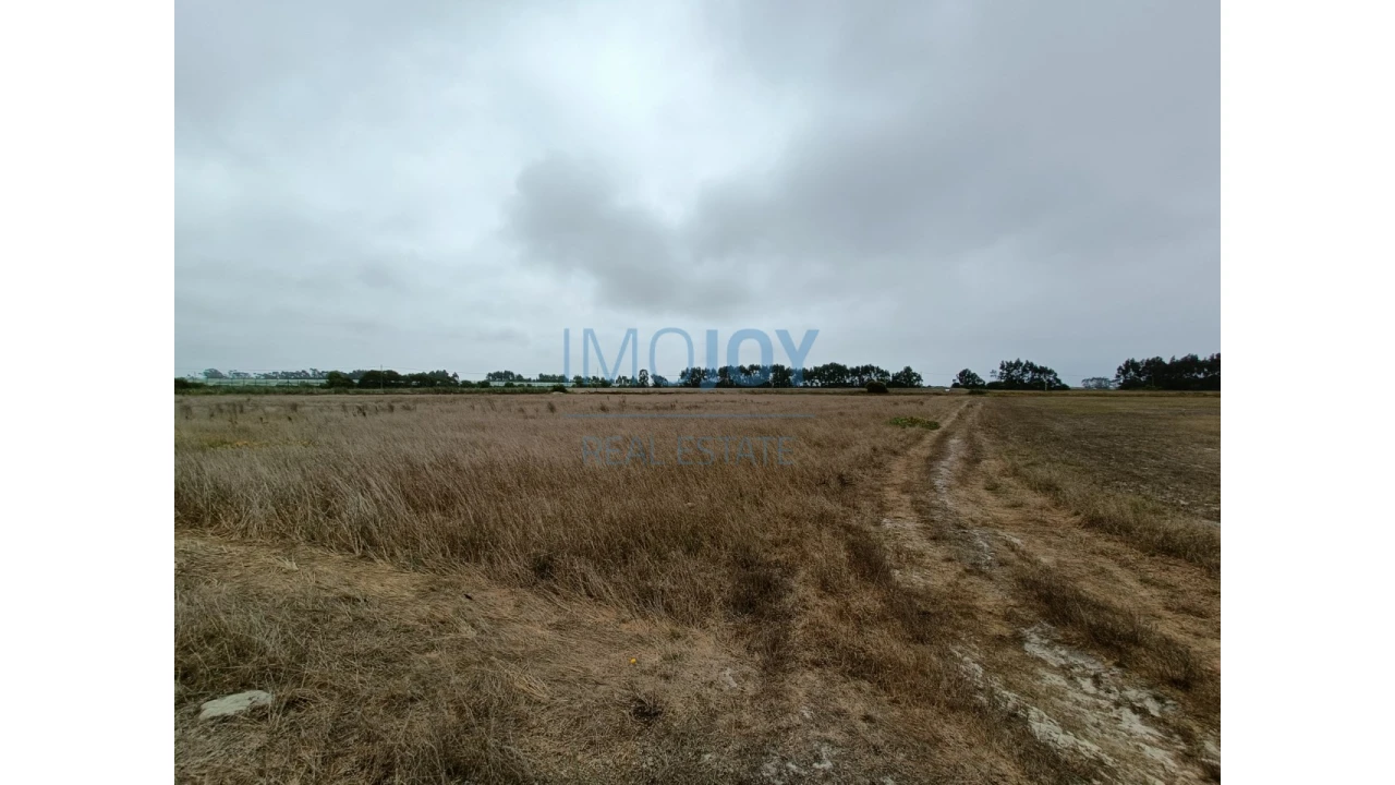 Terreno Agricola ou Rústico para Venda em São Teotónio Foto 3