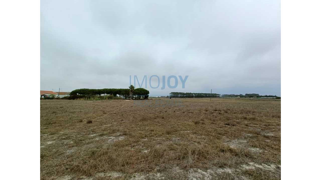 Terreno Agricola ou Rústico para Venda em São Teotónio Foto 5