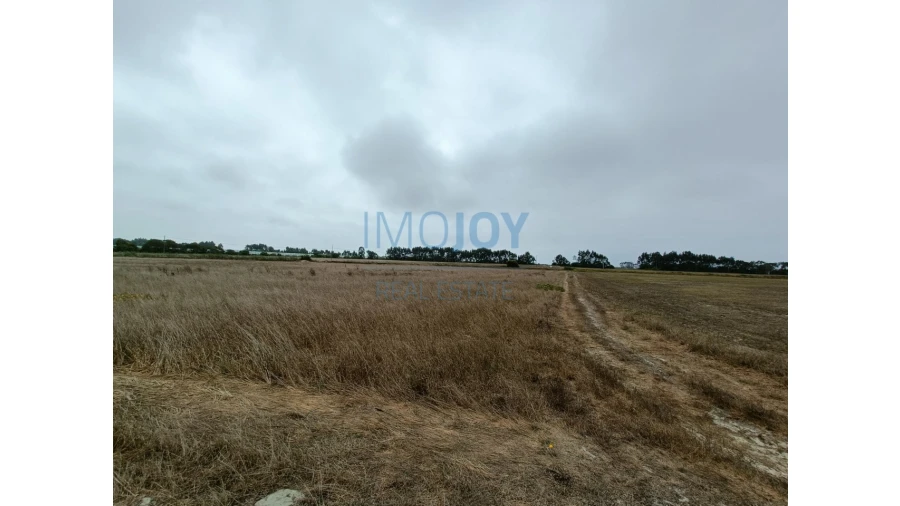 Terreno Agricola ou Rústico para Venda em São Teotónio Foto 1