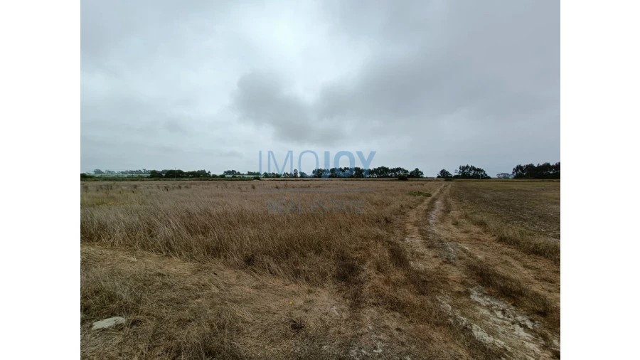 Terreno Agricola ou Rústico para Venda em São Teotónio Foto 3
