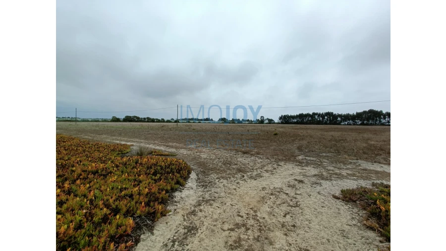 Terreno Agricola ou Rústico para Venda em São Teotónio Foto 4