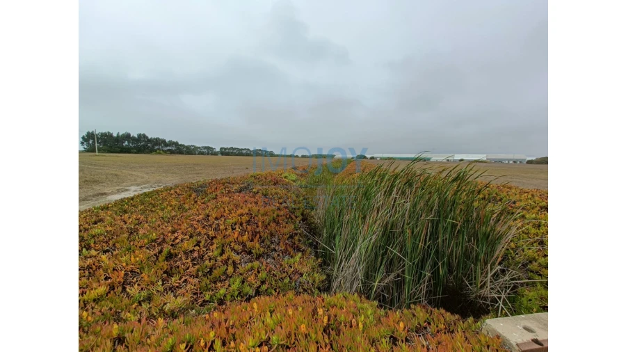 Terreno Agricola ou Rústico para Venda em São Teotónio Foto 6