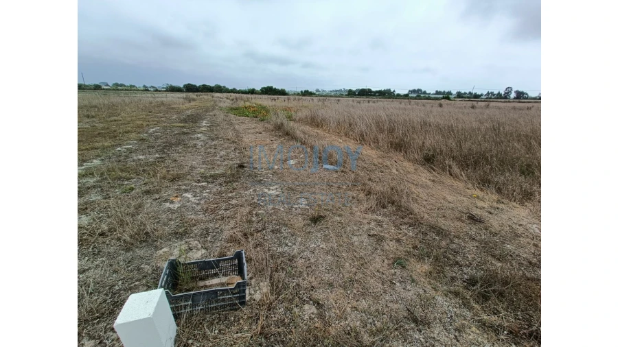 Terreno Agricola ou Rústico para Venda em São Teotónio Foto 7