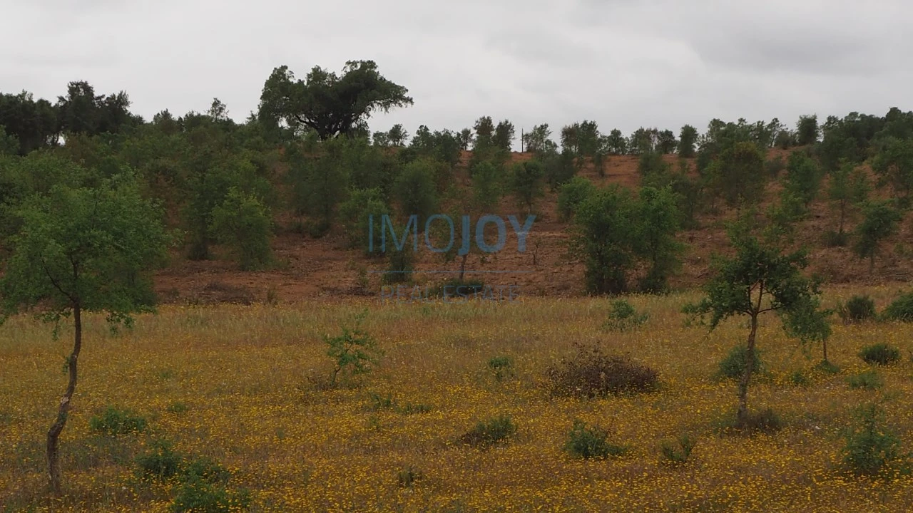 Terreno Agricola ou Rústico para Venda em Cercal Foto 2