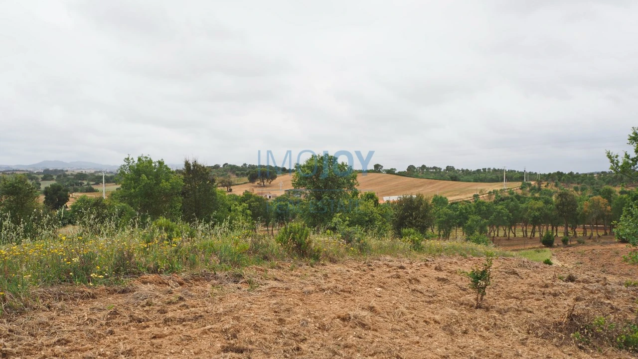 Terreno Agricola ou Rústico para Venda em Cercal Foto 3