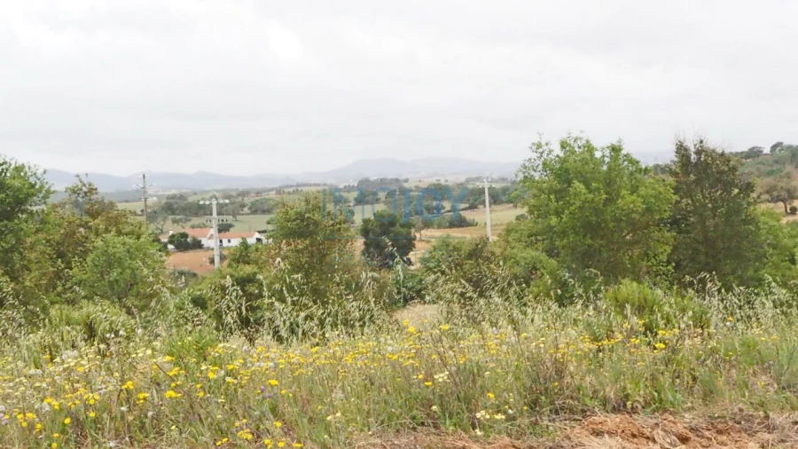 Terreno Agricola ou Rústico para Venda em Cercal Foto 7