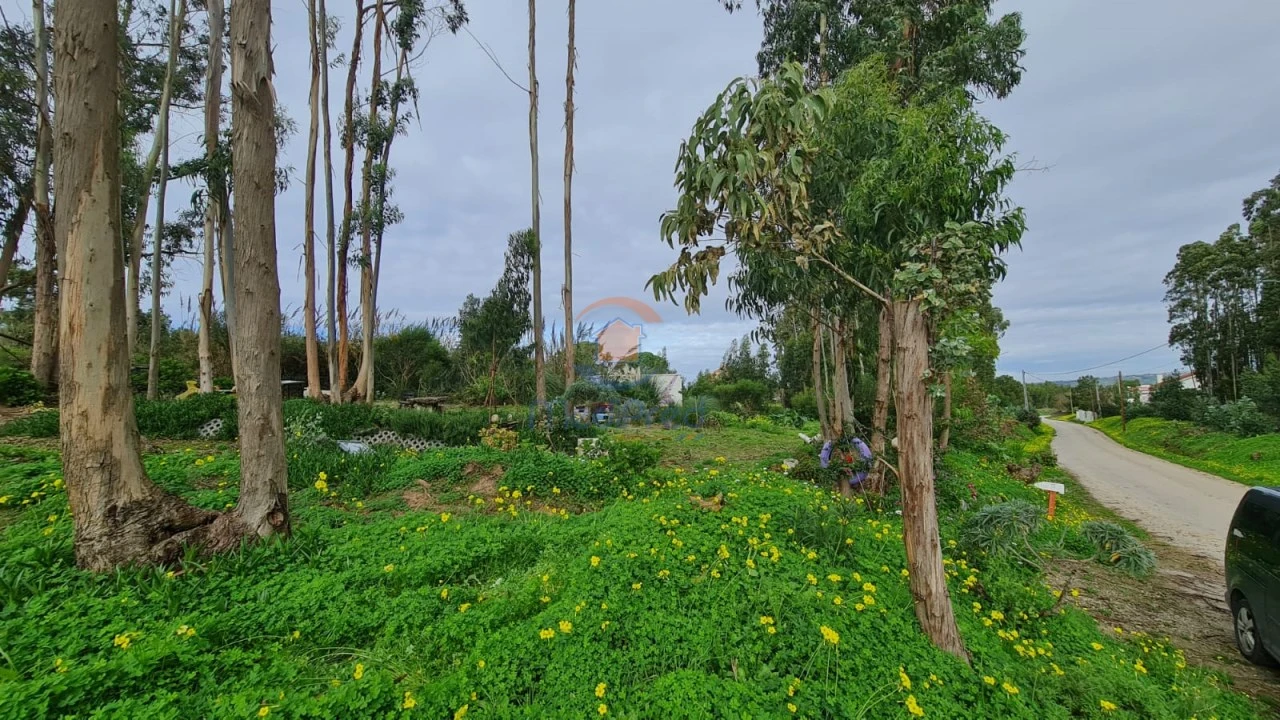 Terreno Agricola ou Rústico para Venda em A dos Cunhados e Maceira Foto 1