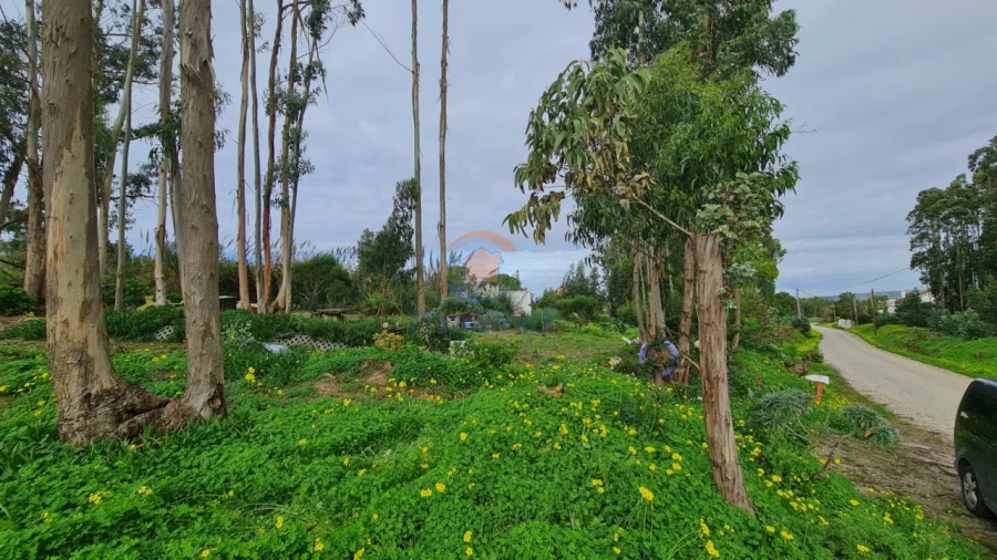 Terreno Agricola ou Rústico para Venda em A dos Cunhados e Maceira Foto 1