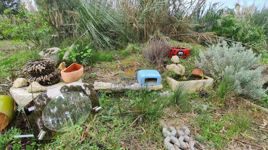 Terreno Agricola ou Rústico para Venda em A dos Cunhados e Maceira Foto 2