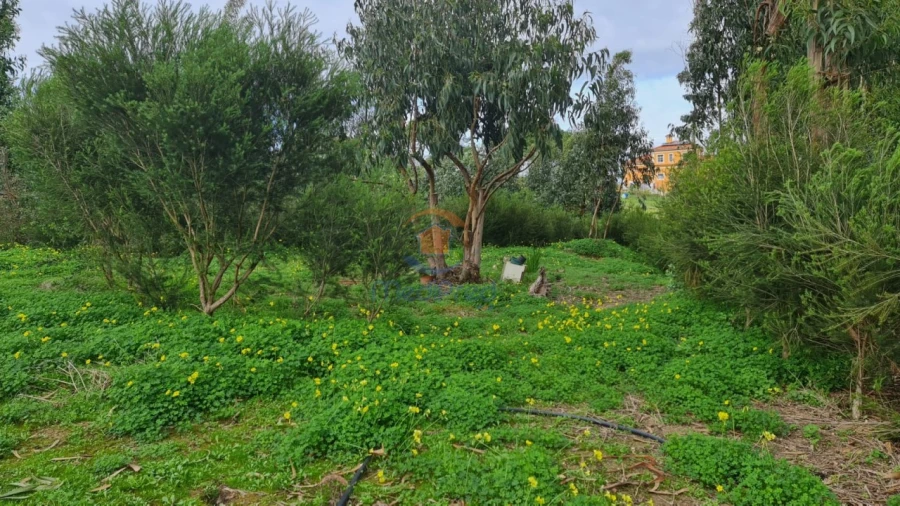 Terreno Agricola ou Rústico para Venda em A dos Cunhados e Maceira Foto 3
