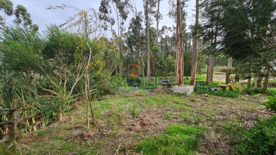 Terreno Agricola ou Rústico para Venda em A dos Cunhados e Maceira Foto 5