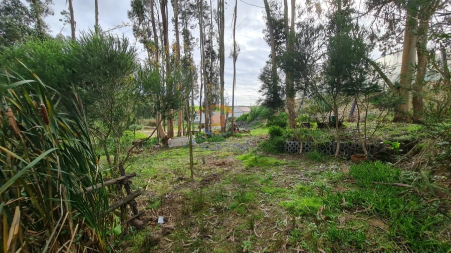 Terreno Agricola ou Rústico para Venda em A dos Cunhados e Maceira Foto 7
