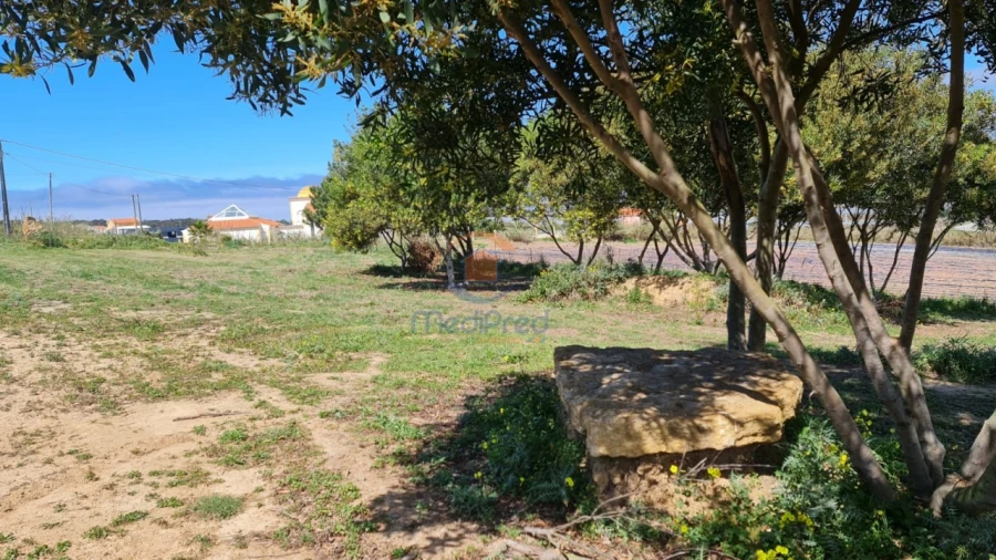 Terreno Agricola ou Rústico para Venda em A dos Cunhados e Maceira Foto 4