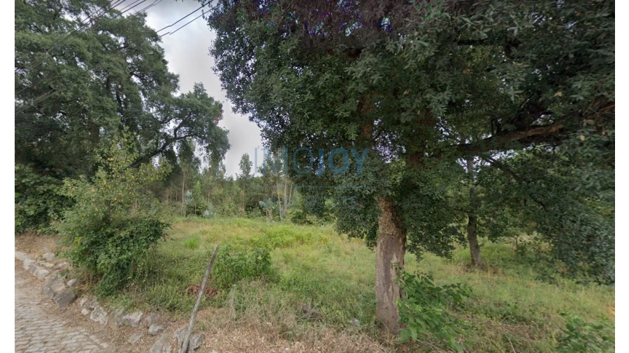 Terreno Agricola ou Rústico para Venda em Castêlo da Maia Foto 5