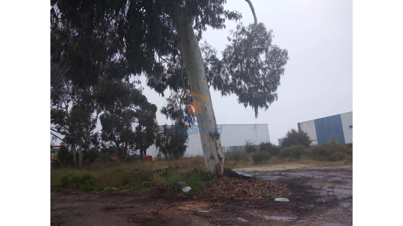 Terreno para Venda em Quinta do Anjo Foto 2