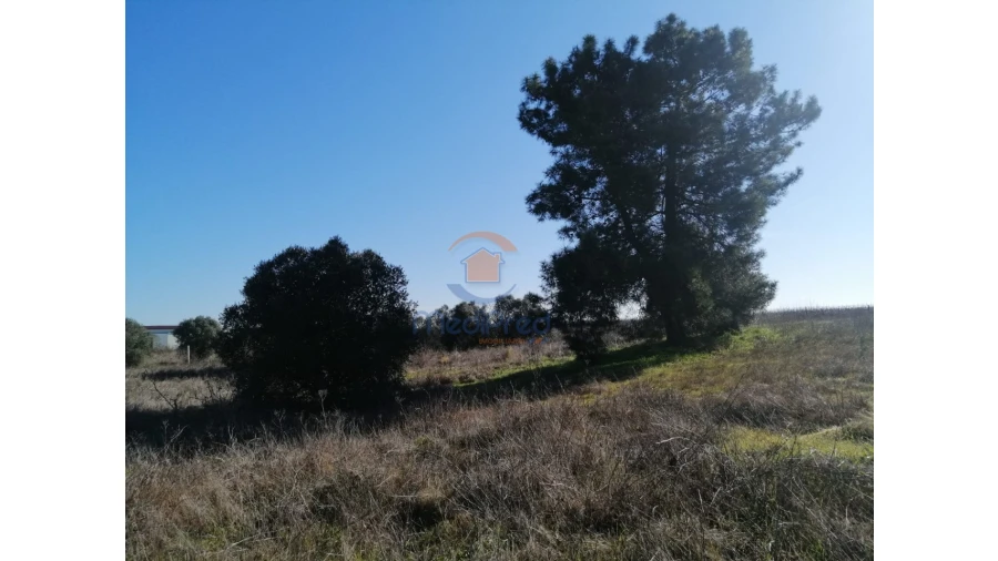 Quinta T1 para Venda em Palmela Foto 14