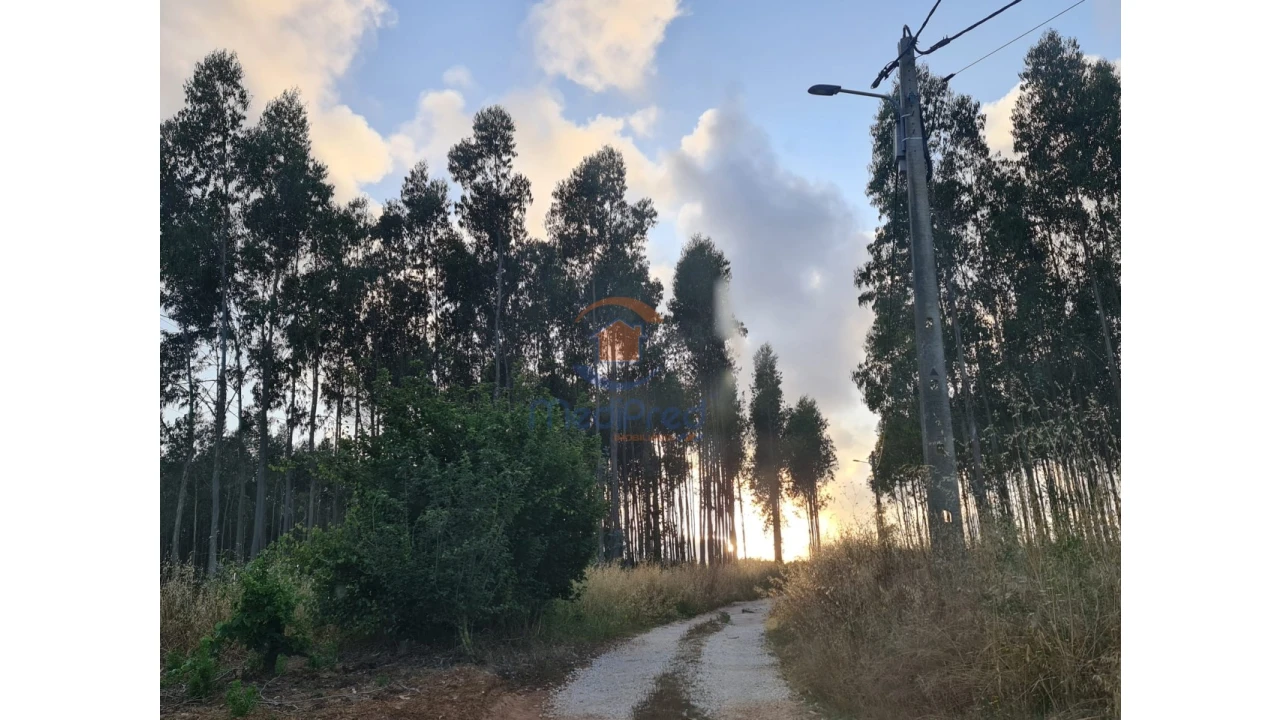 Terreno Comércio / Armazém para Venda em Campelos e Outeiro da Cabeça Foto 3