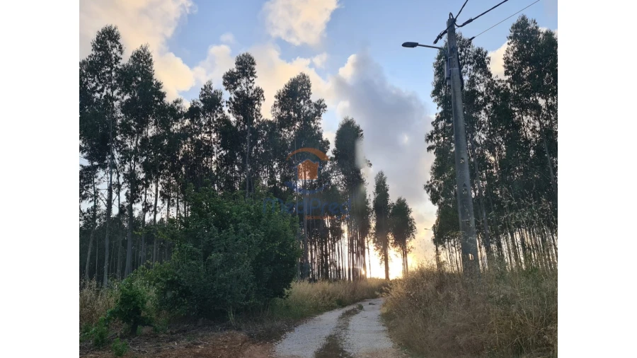 Terreno Comércio / Armazém para Venda em Campelos e Outeiro da Cabeça Foto 3