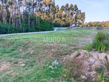 Terreno para Venda em Cortegaça