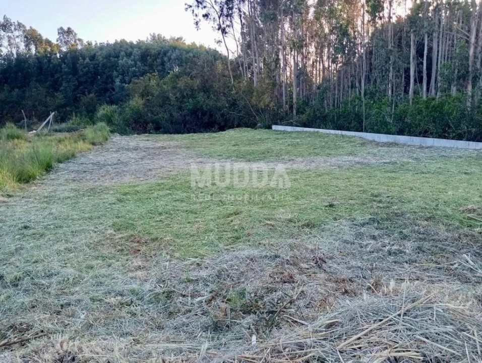 Terreno para Venda em Cortegaça Foto 2