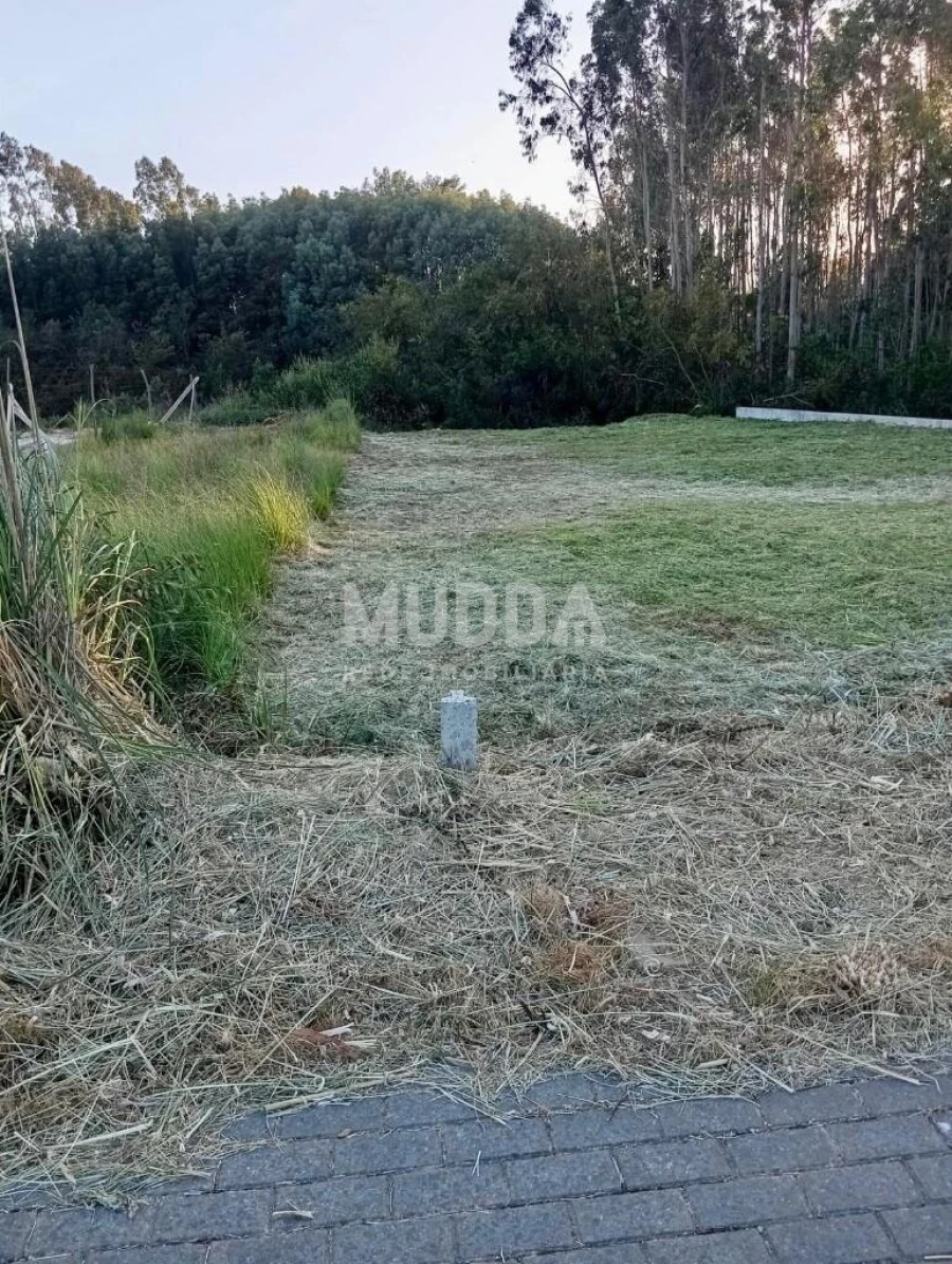 Terreno para Venda em Cortegaça Foto 3