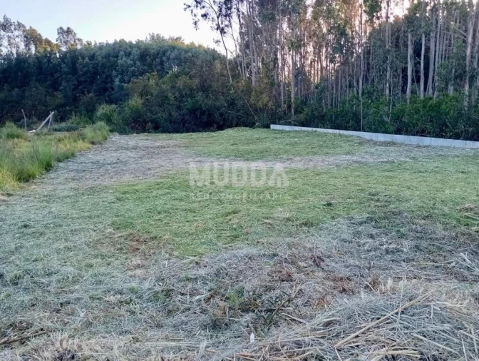 Terreno para Venda em Cortegaça Foto 2