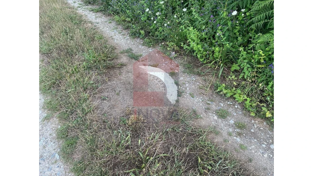 Terreno para Venda em Loureira Foto 6