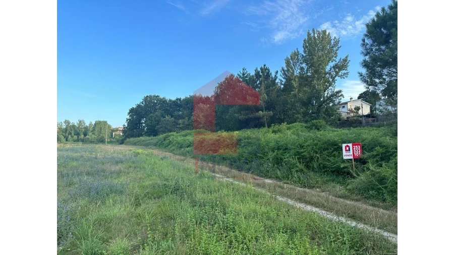 Terreno para Venda em Loureira